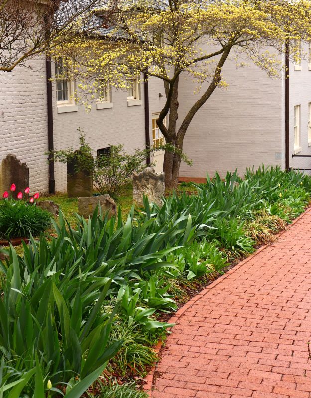 Brick Pathway Repair in Santa Barbara, CA